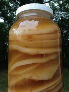 Kombucha Scoby w Instructional Video &amp; Unlimited Support. 100% Organic Strong Starter Tea for Brewing Best Fermented... N5