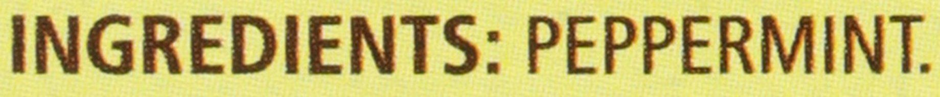Celestial Seasonings, Peppermint, 40 ct N3