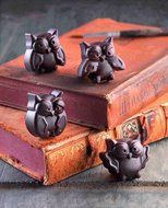 Silikomart Platinum Easychoc Chocolate Owl Mold, Brown N2
