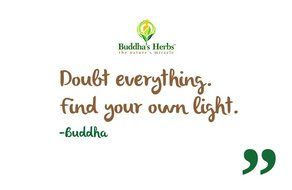 Buddha's Herbs 100% Natural Dandelion Root Tea with Burdock Roots - Caffeine Free - Pack of Two (44 Tea Bags) N5