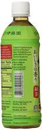 Ito En Oi Ocha unsweetened bold Green Tea, 16.9 Ounce (Pack of 12) N14