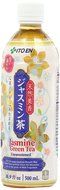 Ito En Oi Ocha unsweetened bold Green Tea, 16.9 Ounce (Pack of 12) N19