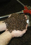100% Pure Kona Coffee-Medium-Dark Roast Whole Bean, 2 LB Bag N3
