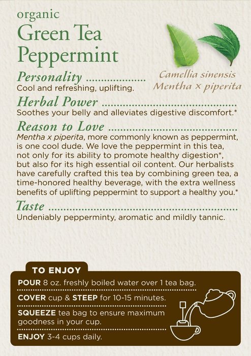 Traditional Medicinals Organic Green Tea Ginger Tea, 16 Tea Bags (Pack of 6) N11