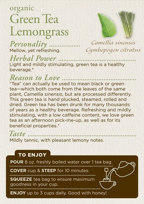 Traditional Medicinals Organic Green Tea Ginger Tea, 16 Tea Bags (Pack of 6) N28