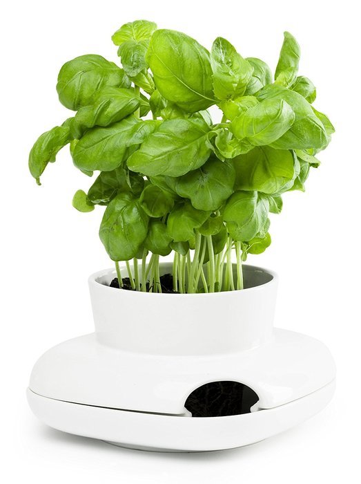 Sagaform 5007176 Stoneware Single Herb Pot, Large
