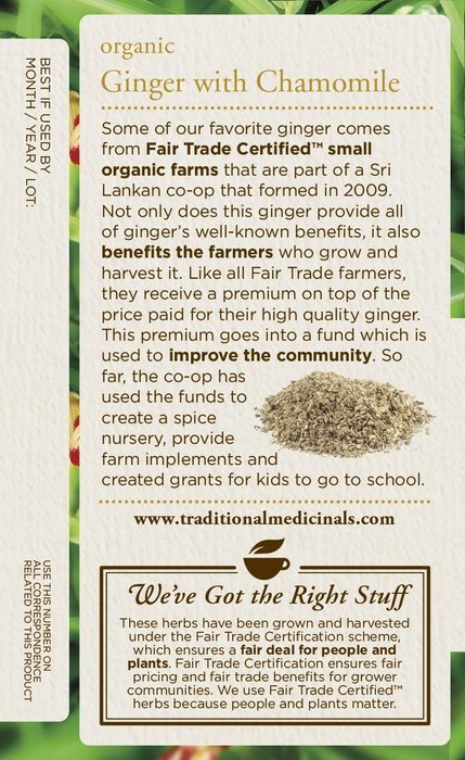 Traditional Medicinals Organic Hibiscus Tea, 16 Tea Bags N12