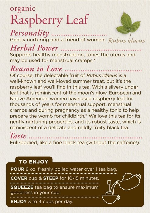 Traditional Medicinals Organic Hibiscus Tea, 16 Tea Bags N120