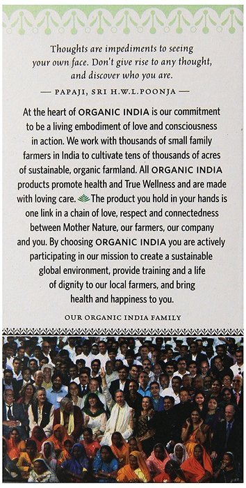 Organic India Tulsi, Original, 18-Count Boxes (Pack of 2) N49