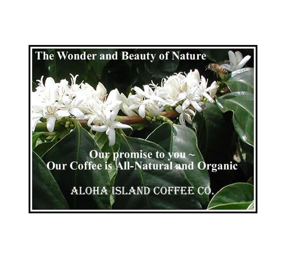 PLATINUM Light Roast, Kings Reserve Kona Hawaiian Coffee Blend, 8 Oz Ground N6