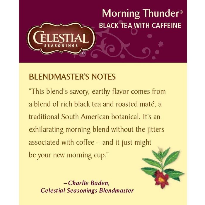 Celestial Seasonings Sweet Harvest Pumpkin Black Tea, 20 Count N52
