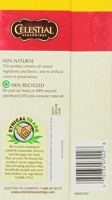 Celestial Seasonings Fast Lane Black Tea, 20 Count (Pack of 6) N3