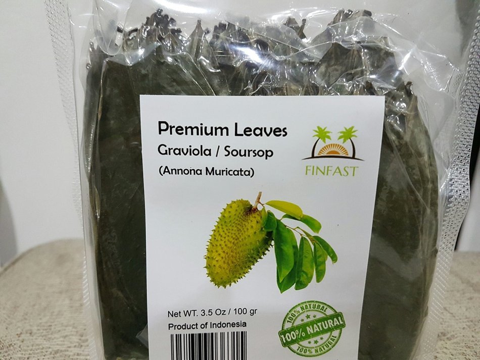 FINFAST Air-dried Guanabana / Soursop / Graviola / Guyabano Leaves (250+ Premium Leaves)