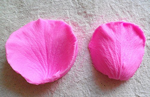 New Arrival! Design 25 Petal Shape Silicone Sugar Mold, Cake Decoration Tool, Food Grade Material