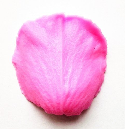 New Arrival! Design 25 Petal Shape Silicone Sugar Mold, Cake Decoration Tool, Food Grade Material N2