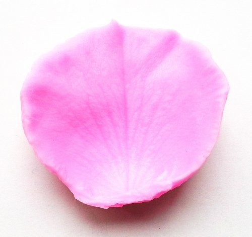 New Arrival! Design 25 Petal Shape Silicone Sugar Mold, Cake Decoration Tool, Food Grade Material N3