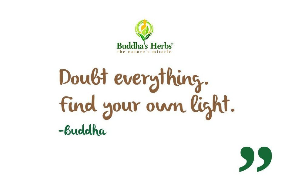 Buddha's Herbs 100% Natural Dandelion Root Tea with Burdock Roots - Caffeine Free - Pack of Two (44 Tea Bags) N5