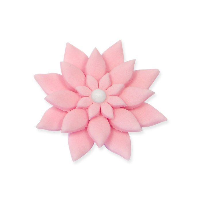 PME Plunger Cutters, Daisy, 4-Pack N3
