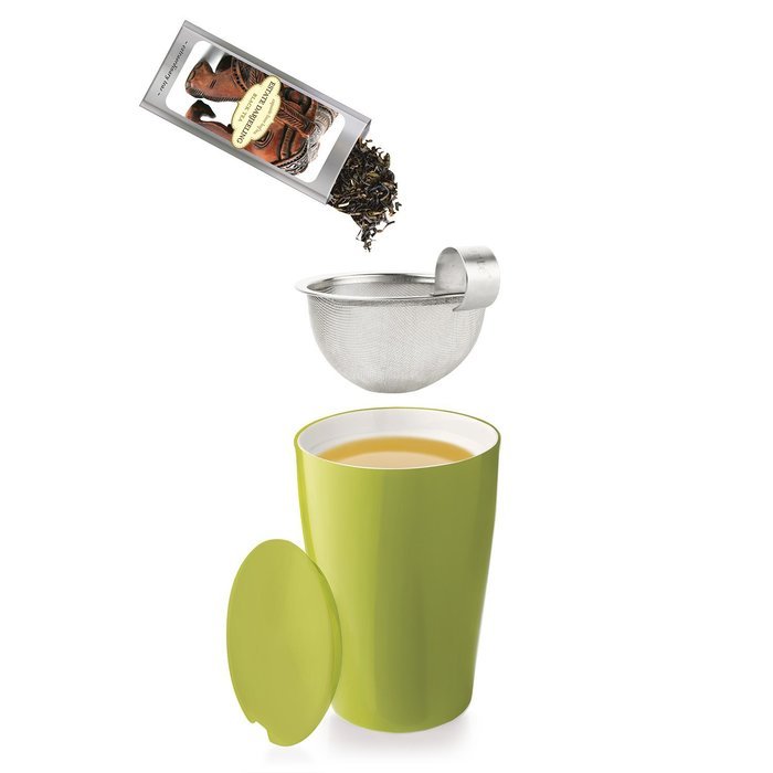 Tea Fort&eacute; Loose Tea Starter Set, Gift Set with Snowflake KATI Cup Tea Brewing System and 10 SINGLE STEEPS N8