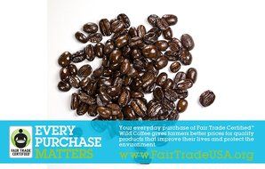 Wild Coffee, Whole Bean Organic Coffee, Fair Trade, Single-Origin, 100% Arabica, Austin Fresh Roasted (Peru Light... N16