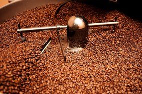 Wild Coffee, Whole Bean Organic Coffee, Fair Trade, Single-Origin, 100% Arabica, Austin Fresh Roasted (Peru Light... N18