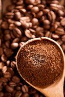 Wild Coffee, Whole Bean Organic Coffee, Fair Trade, Single-Origin, 100% Arabica, Austin Fresh Roasted (Peru Light... N23