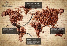 Wild Coffee, Whole Bean Organic Coffee, Fair Trade, Single-Origin, 100% Arabica, Austin Fresh Roasted (Peru Light... N34