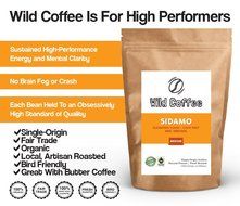 Wild Coffee, Whole Bean Organic Coffee, Fair Trade, Single-Origin, 100% Arabica, Austin Fresh Roasted (Peru Light... N37