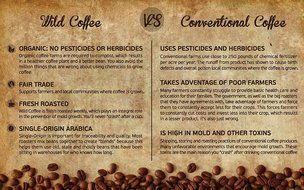 Wild Coffee, Whole Bean Organic Coffee, Fair Trade, Single-Origin, 100% Arabica, Austin Fresh Roasted (Peru Light... N42