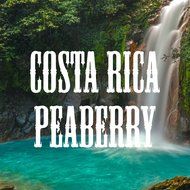 Costa Rica Peaberry Coffee, Whole Bean, 16-ounce N2
