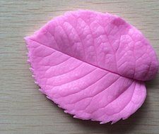 HSE Leaf Press Mold Shaped Silicone Mold Cake Decoration Fondant Cake 3D Food Grade Silicone Mould N2