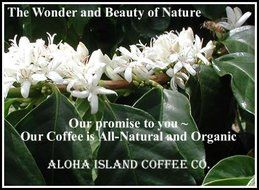 Aloha Island Coffee KONA-POD, Island Breakfast Med Light Roast, Kona &amp; Hawaiian Coffee Blend, 36-Count Coffee... N4