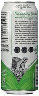 Steaz Organic Iced Teaz, Green Tea with Peach, 16 oz Cans, 12 pk N2