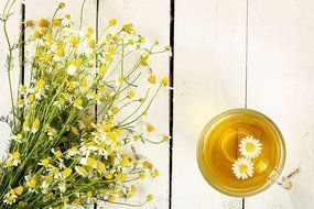 Sweet Chamomile Loose Leaf Herbal Tea, Organic Whole Chamomile Flowers, Wild Tea #10 by Wild Food (2 ounce) N2