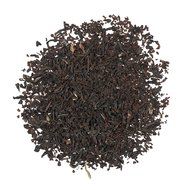 Pure Leaf Hot Tea Bags, Green Tea with Mint, 16 Count (Pack of 6) N8