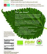 USDA Organic White Mulberry Leaf Tea (15 Teabags) | Blood Sugar Balance | Leaves Can Help Fight Cholesterol |... N3