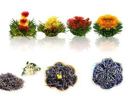 Tea Beyond FLS-3SET-BLF2100 12-Pack Fab Flowering Blooms Tea N4