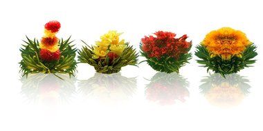 Tea Beyond FLS-3SET-BLF2100 12-Pack Fab Flowering Blooms Tea N5