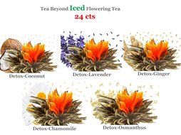 Tea Beyond FLS-3SET-BLF2100 12-Pack Fab Flowering Blooms Tea N8
