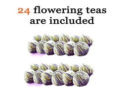Tea Beyond FLS-3SET-BLF2100 12-Pack Fab Flowering Blooms Tea N9