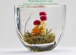 Tea Beyond FLS-3SET-BLF2100 12-Pack Fab Flowering Blooms Tea N10