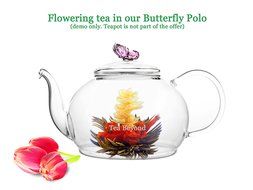 Tea Beyond FLS-3SET-BLF2100 12-Pack Fab Flowering Blooms Tea N13
