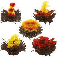 Tea Beyond FLS-3SET-BLF2100 12-Pack Fab Flowering Blooms Tea N14