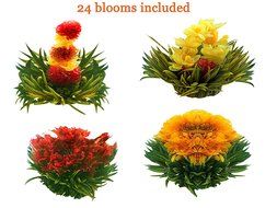 Tea Beyond FLS-3SET-BLF2100 12-Pack Fab Flowering Blooms Tea N18
