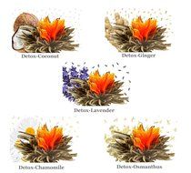 Tea Beyond FLS-3SET-BLF2100 12-Pack Fab Flowering Blooms Tea N22