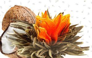 Tea Beyond FLS-3SET-BLF2100 12-Pack Fab Flowering Blooms Tea N24
