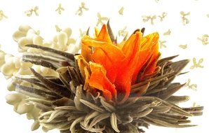 Tea Beyond FLS-3SET-BLF2100 12-Pack Fab Flowering Blooms Tea N27