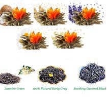 Tea Beyond FLS-3SET-BLF2100 12-Pack Fab Flowering Blooms Tea N28