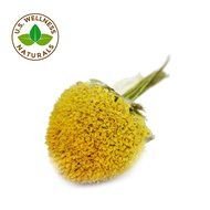 Chamomile Tea 100% CERTIFIED Organic (USDA seal) Chamomile Flowers Herbal Tea (Matricaria chamomilla) in 1 lb... N10