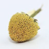 Chamomile Tea 100% CERTIFIED Organic (USDA seal) Chamomile Flowers Herbal Tea (Matricaria chamomilla) in 1 lb... N46